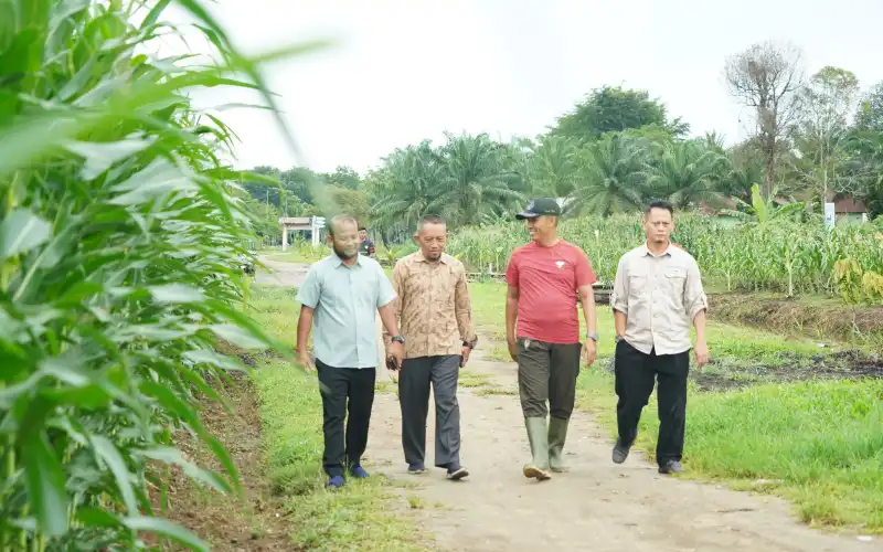 Food Estate Korem 012/TU Dikunjungi Manager PT PBS Arsari Group