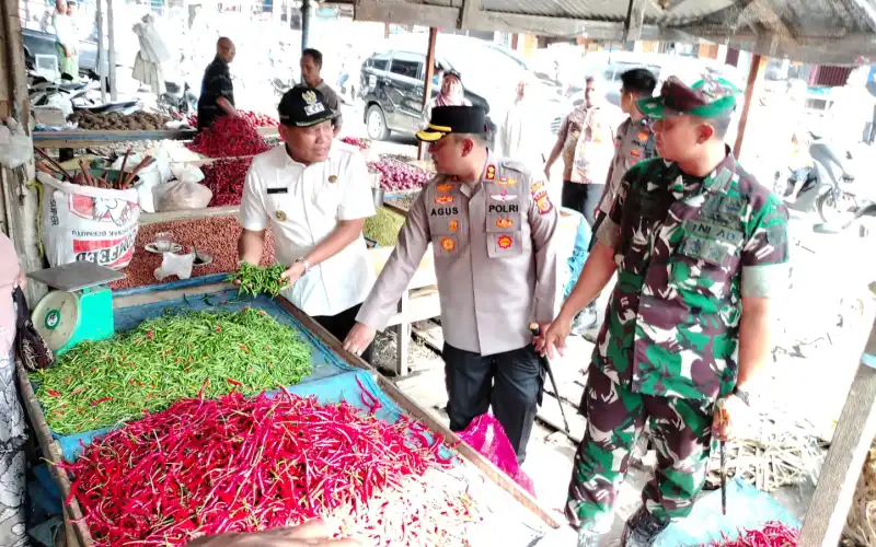 Pj Bupati Abdya Aceh Dianggap Mampu Jaga Stabilitas Harga Komoditas