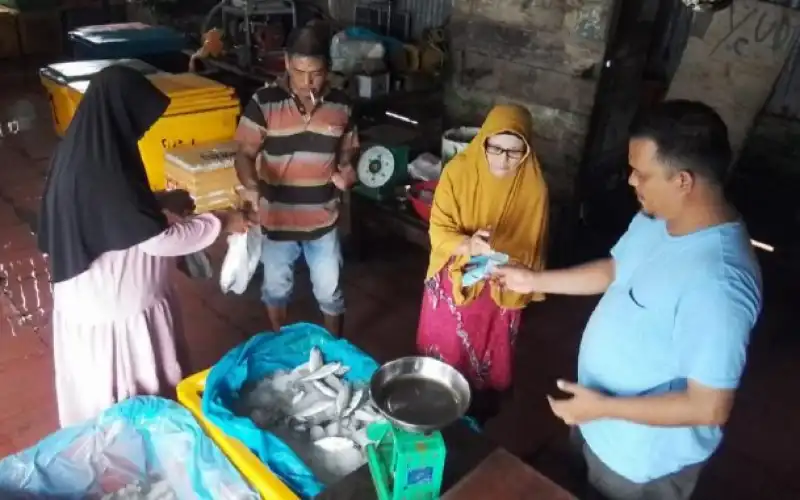 Harga Ikan di Simeulue Naik, Daging Stabil Rp 180 Ribu