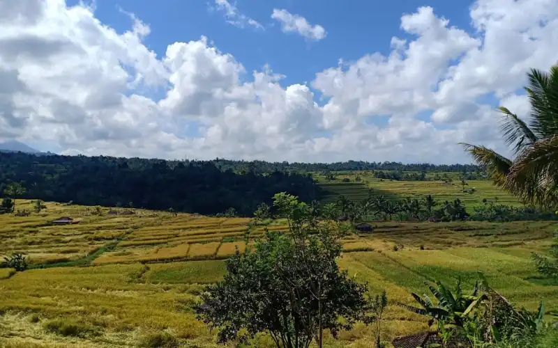 Bulan Juni, Sejumlah Festival Hiasi Pariwisata &nbsp;Bali