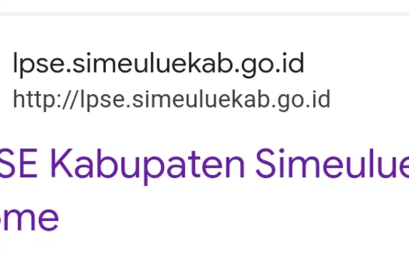 Pokmil Yang Melelang Pembangunan Gedung Perpustakaan Diduga Berijazah Palsu, Masuk Dalam LHP BPK
