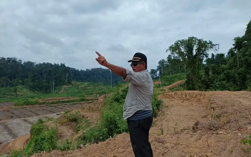 Ketua Tim Pansus : Kami Udah Tanya Ke Perizinan Terkait OSS, Mereka Tidak Ada Izin Perkebunan, Itu Izin Pabrik dan Izin Pabrik Pun Sudah Mati