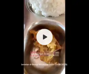 Menjijikkan, Ulat Muncul Dalam Makanan MBG di Simeulue, Diduga Pengolahannya Tak Beres