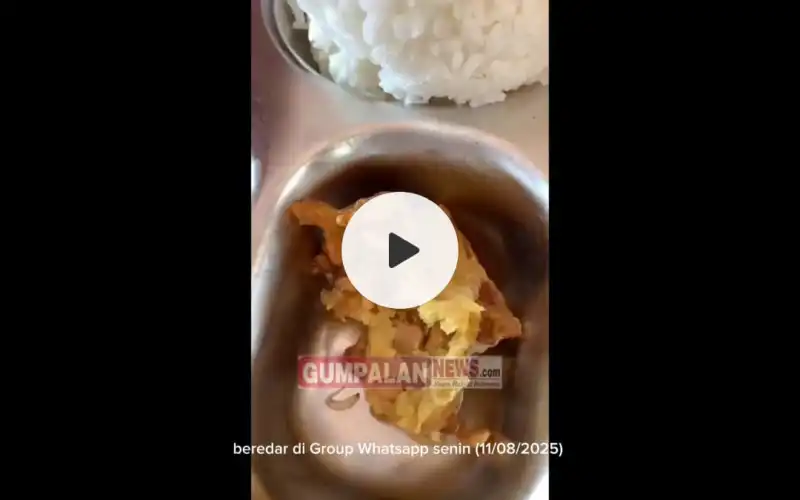Menjijikkan, Ulat Muncul Dalam Makanan MBG di Simeulue, Diduga Pengolahannya Tak Beres