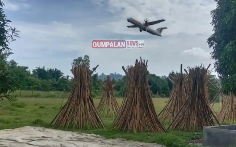 Pelaku Usaha Keluhkan Sulitnya Mendapatkan Izin Pengiriman, Ribuan Petani Rotan Simeulue Terancam Tidak Ada Pendapatan