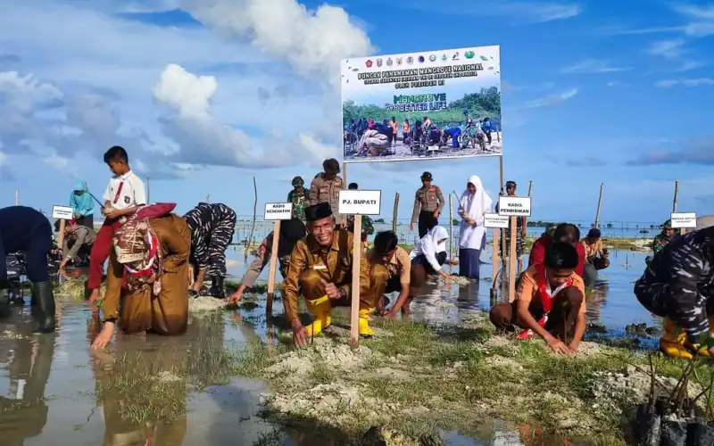 Hadiri Peresmian Kampung Bahari Nusantara Pj Sekda Tanam Mangrove Serentak