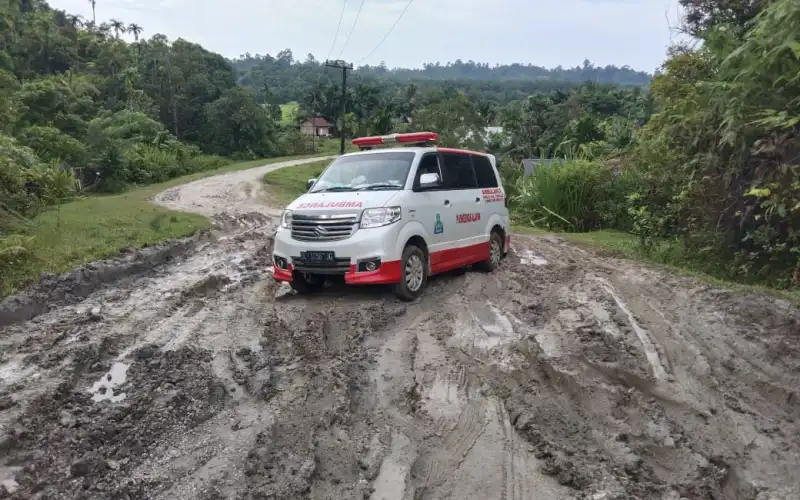 Jawab Keluhan Masyarakat Alafan, Anggota DPRA Dari Partai Demokrat, Edi Kamal: Kita Akan Perjuangkan Kembali